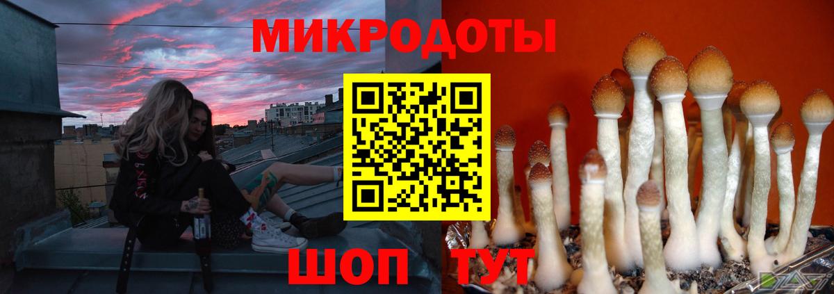 Псилоцибиновые грибы мухоморы Апрелевка